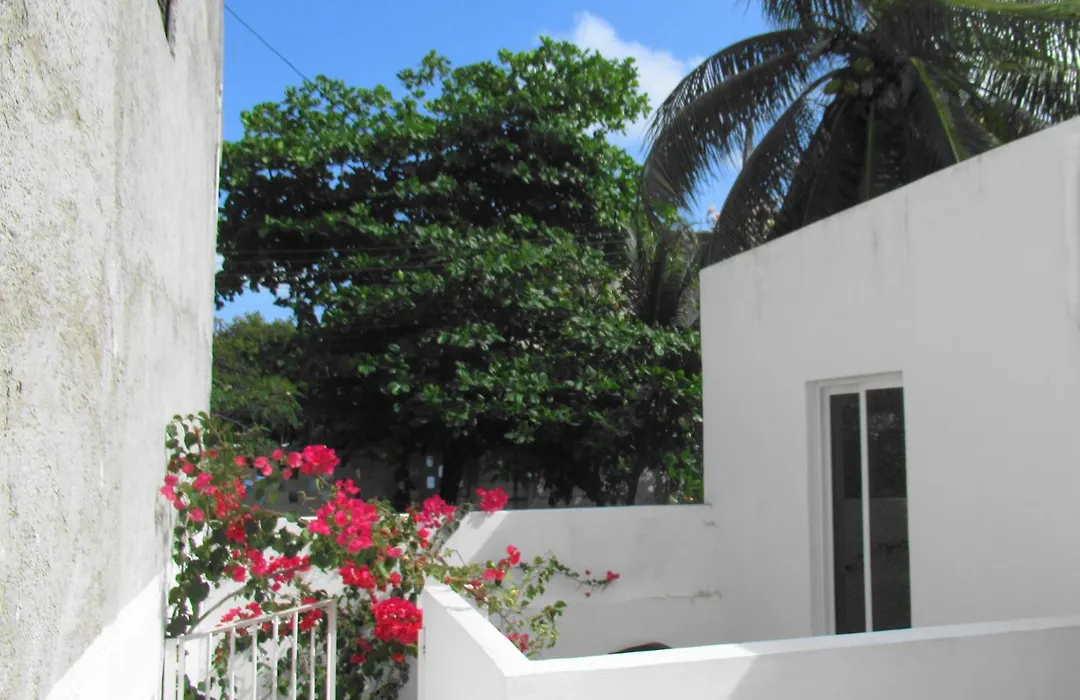 Cocos-1